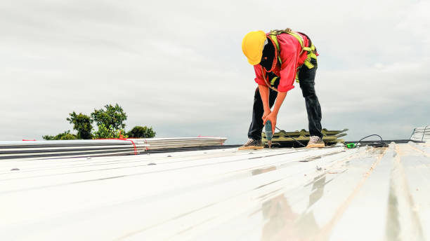 Best Metal Roofing Installation  in , VA